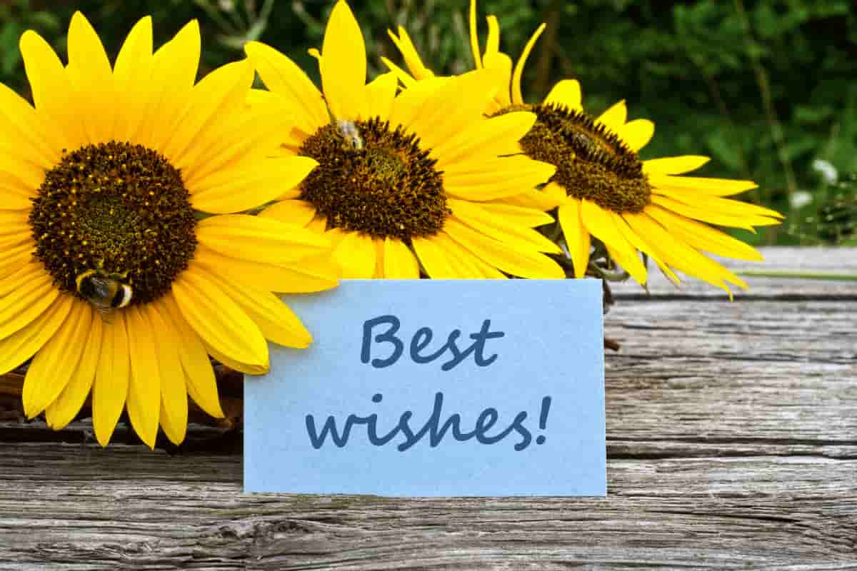 Birthday Wishes Flower Bouquet