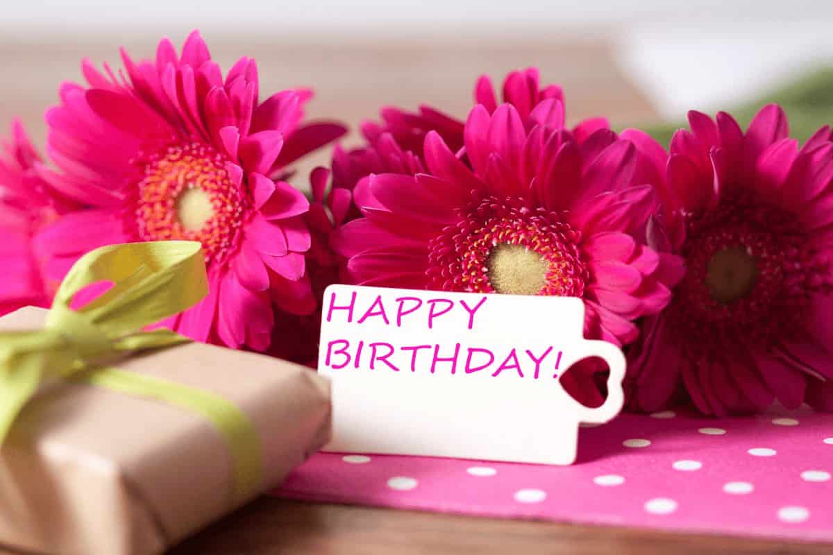 Daisy Birthday Wishes